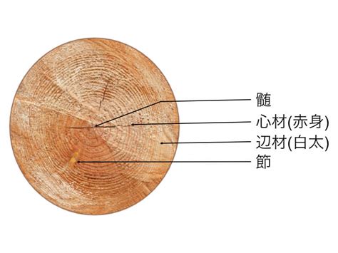 木 元素記号|木材の基礎知識｜木材用塗料事